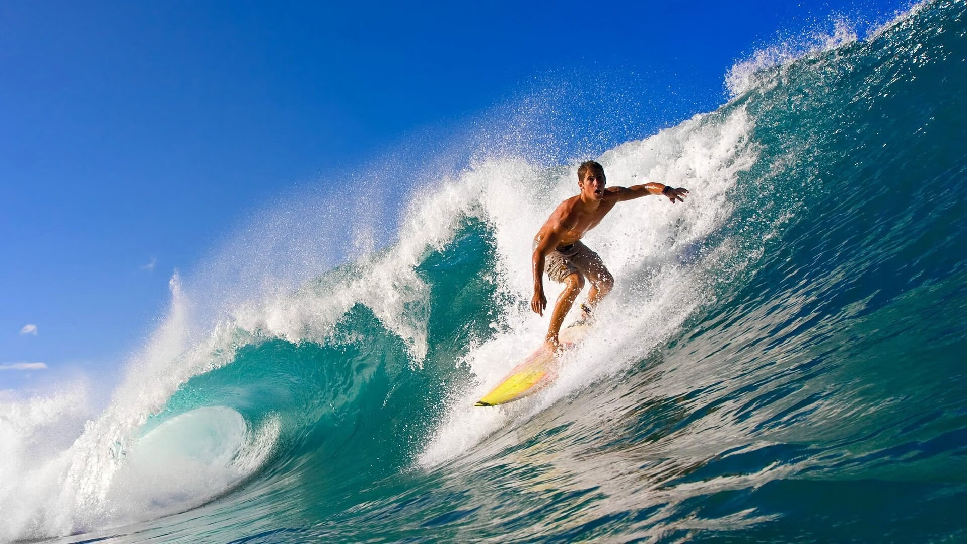 凯尔特人延续恐怖统治力双探花状态火热，集锦凯尔特人